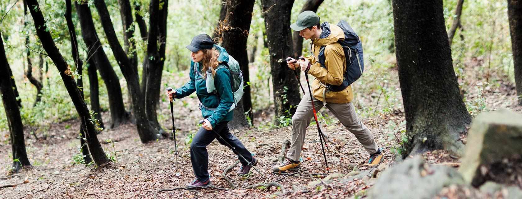 Find the best Pursuit Trekking Poles for you | Black Diamond